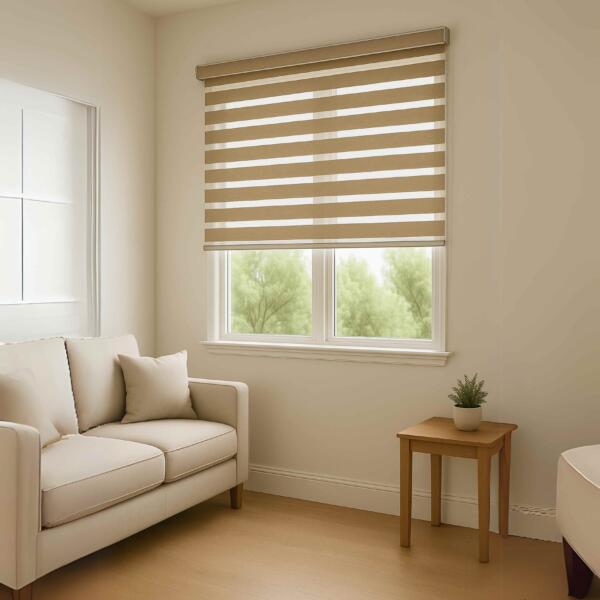 Zebra Blinds